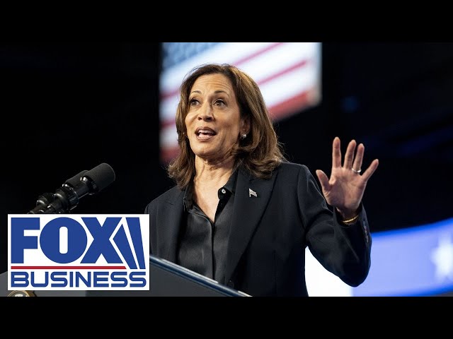 ⁣Kamala Harris delivers her 'closing argument' at the Ellipse in Washington, DC