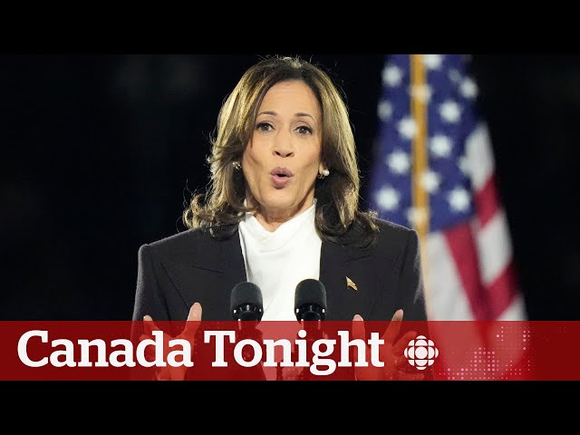 ⁣Harris' final pitch to voters a 'home run,' political analyst says | Canada Tonight