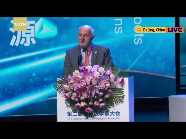 ⁣Argentine congressman praises ties with China at Sinology conference