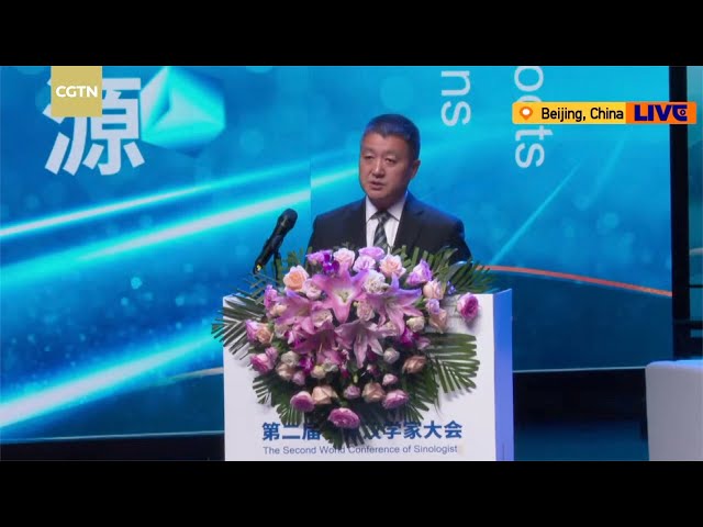 ⁣Lu Kang promotes global collaboration at Sinology conference