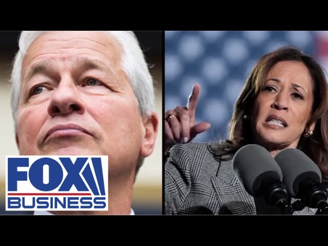 ⁣Jamie Dimon warns Biden-Harris growing bureaucracy will hurt US economy