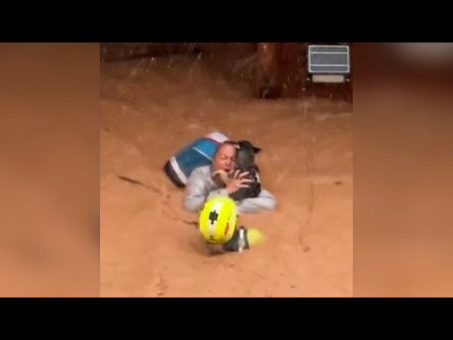 ⁣No Comment. Espagne : une femme et son chien sauvés des eaux par hélicoptère