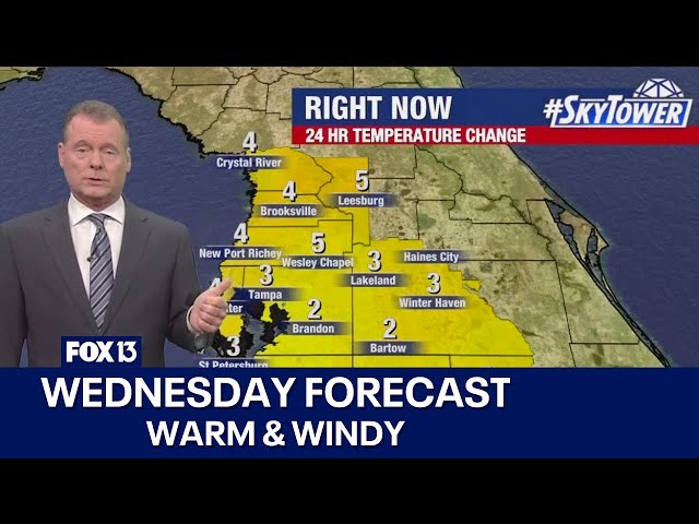 ⁣Tampa weather | Warm & windy