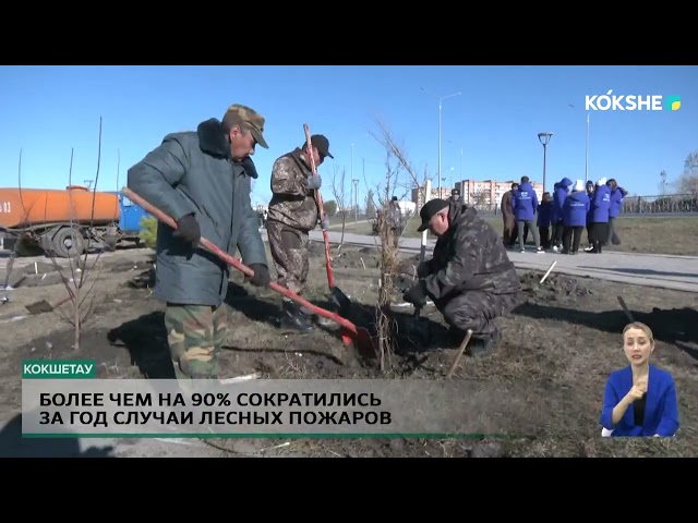 ⁣Более чем на 90% сократились за год случаи лесных пожаров