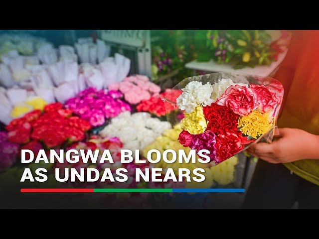 ⁣Dangwa blooms as Undas nears