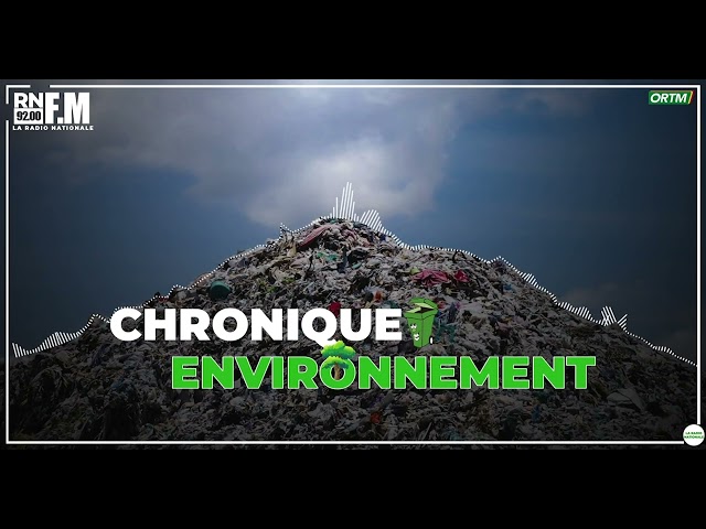 ⁣CHRONIQUE ENVIRONNEMENT DU 30 octobre 2024