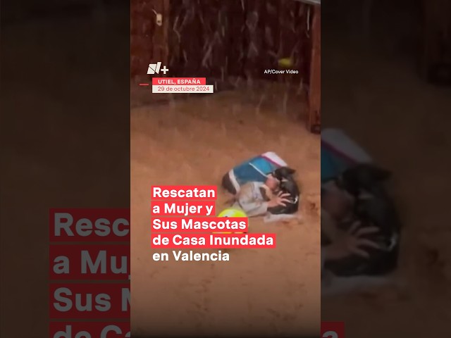 ⁣Rescatan a mujer y a sus mascotas de casa inundada en Valencia #nmas #valencia #inundación #shorts