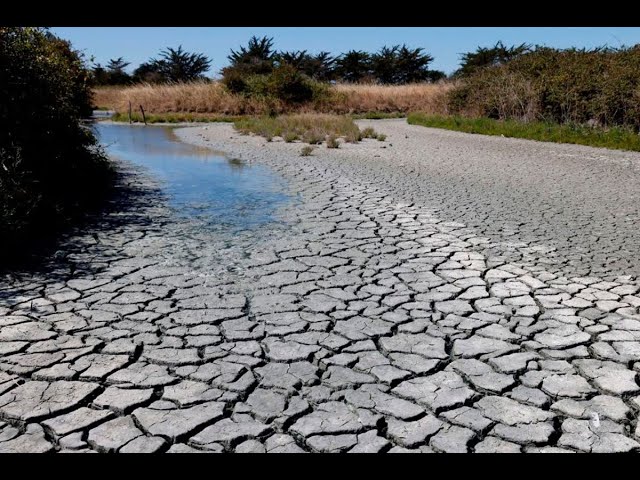 ⁣Piura: 34 distritos serán declarados en emergencia por déficit hídrico