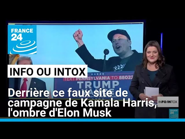 ⁣Présidentielle américaine : derrière ce faux site de campagne démocrate, l'ombre d'Elon Mu