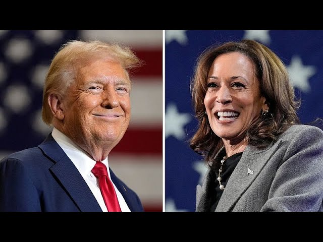 ⁣US Presidential Election: Harris and Trump make final pitches to voters in swing states