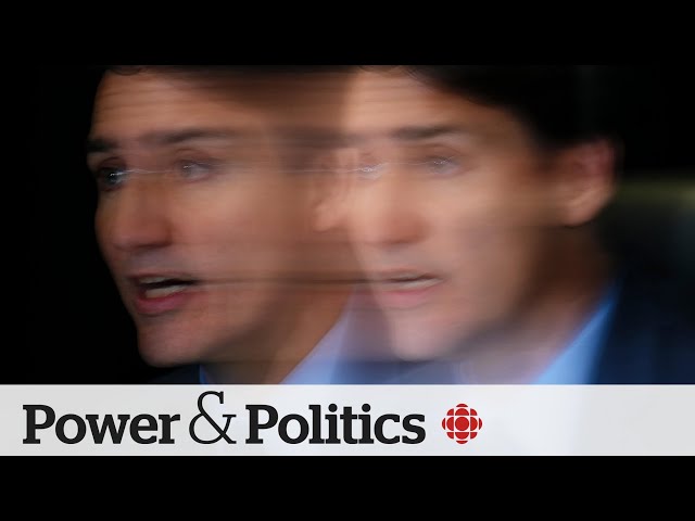 ⁣2 more Liberal MPs call for secret ballot on Trudeau's leadership | Power & Politics