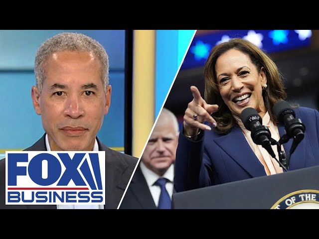 ⁣Former Wall Street banker defends Kamala Harris’ economic plan