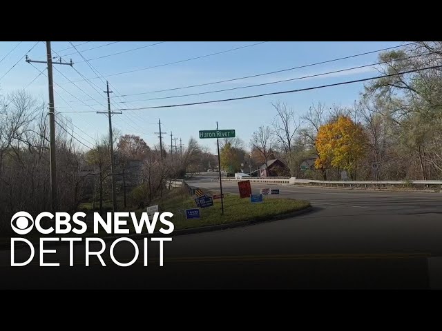 ⁣A look into political yard sign laws in Michigan