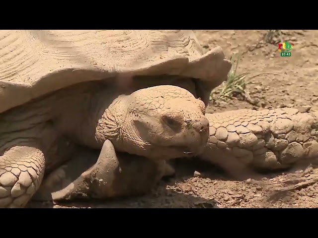 ⁣Déclaration du Burkina Faso à la16e conférence des Nations unies sur la Biodiversité