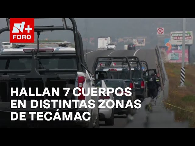 ⁣Suman 7 cuerpos localizados en distintas zonas de Tecámac, Edomex - Las Noticias