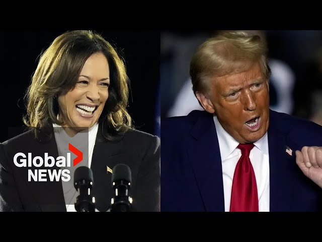 ⁣US election 2024: Trump, Harris virtually tied in polls