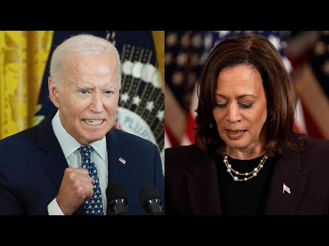 ⁣Joe Biden doing ‘anything’ to hurt Kamala Harris’ election chances