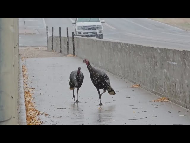 ⁣Roads go from wet to snowy in Colorado foothills, conditions in mountains lead to traffic backups