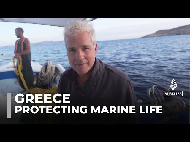 ⁣Marine ecosystem in danger: Fishermen launch initiative to protect sea in Amorgos