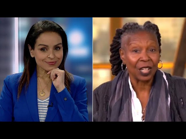 ⁣‘Permanent state of hysteria’: Rita Panahi calls out host on The View