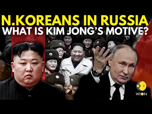 ⁣Russia-Ukraine LIVE: Ukraine Prepares To Fight North Korean Troops In Kursk | WION LIVE