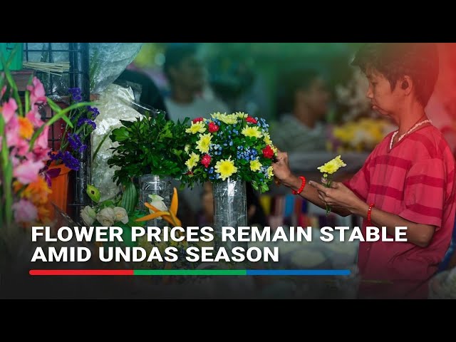 ⁣Dangwa flower prices remain stable amid Undas season | ABS-CBN News