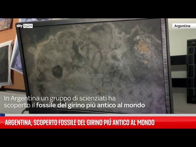 ⁣Argentina, scoperto fossile del girino più antico al mondo