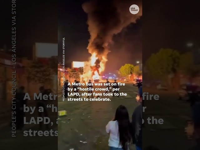 ⁣Dodgers fans get rowdy, celebrate in Los Angeles after win #Shorts