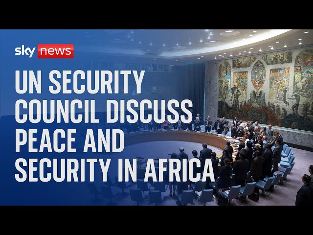 ⁣Watch live: UN Security Council meets to discuss peace and security in Africa