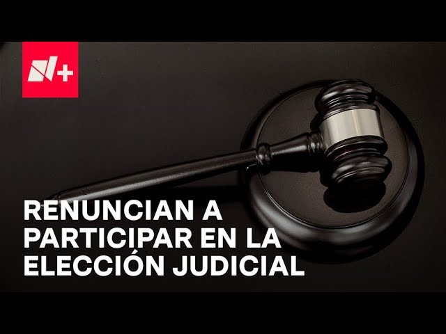 ⁣¿Cuántos jueces de distrito y magistrados de circuito han renunciado? - Despierta