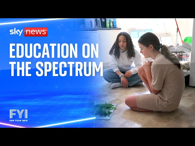 ⁣FYI: Education on the spectrum