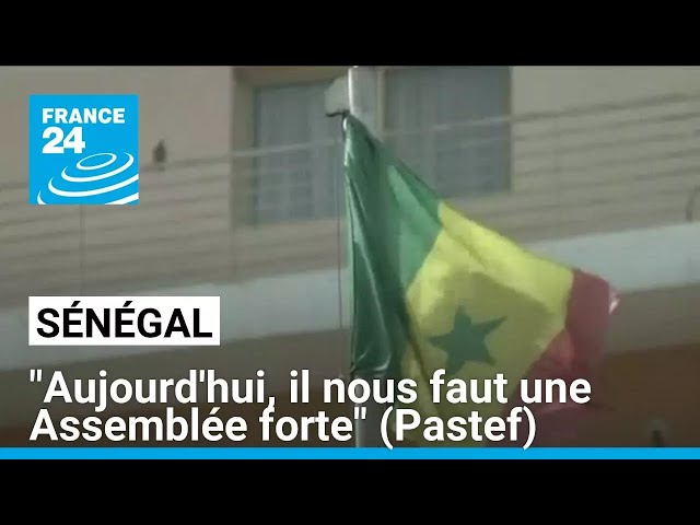 ⁣Sénégal : "Aujourd'hui, il nous faut une Assemblée forte", assure le directeur de cam