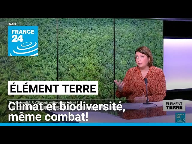 ⁣Climat & Biodiversité: une relation interdépendante • FRANCE 24