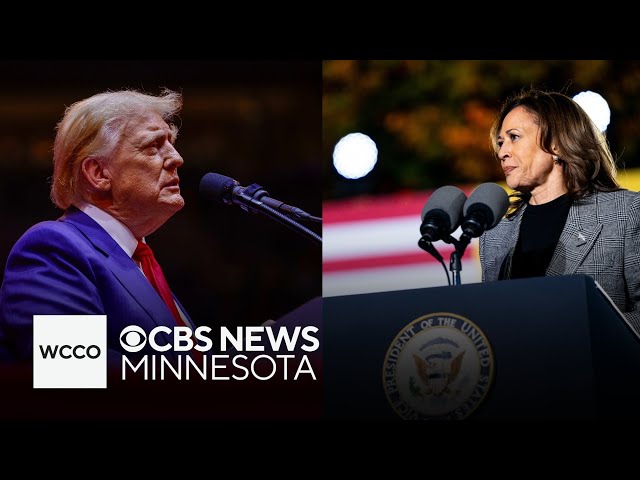 ⁣Harris, Trump focus on western states in last leg of the campaign trail