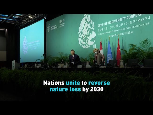 Nations Unite to Reverse Nature Loss by 2030