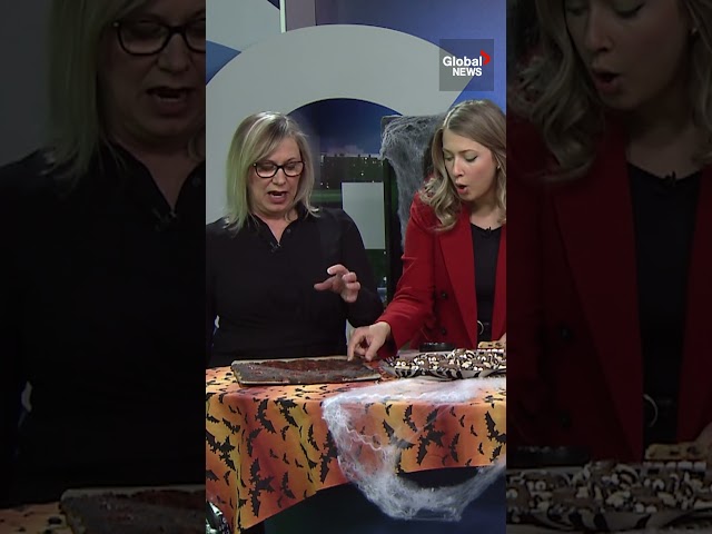 ⁣News anchor's Halloween baking fail creates horror-inducing results  #newsblooper #fail