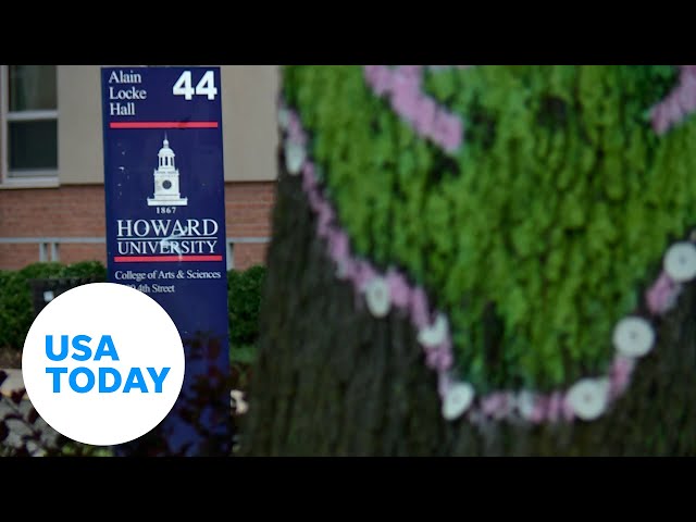 ⁣HBCUs, Divine Nine historically play key role in elections | USA TODAY