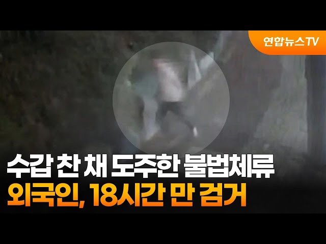 ⁣수갑 찬 채 도주한 불법체류 외국인, 18시간 만 검거 / 연합뉴스TV (YonhapnewsTV)