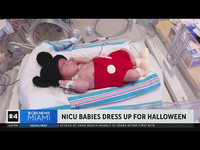 ⁣Miami has spooky fun for Halloween