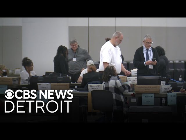 ⁣Safety measures in place for election in Detroit, officials say