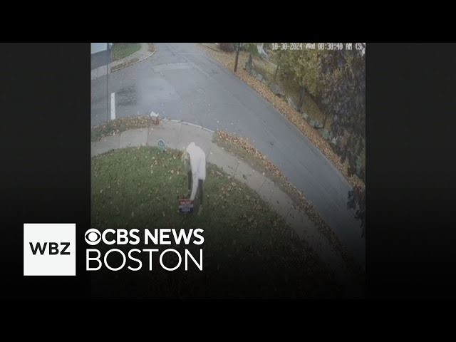 ⁣Stoneham man says someone tried to rip apart his Trump law sign