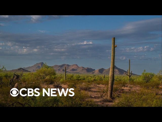 ⁣How climate change affects Latino communities and their votes