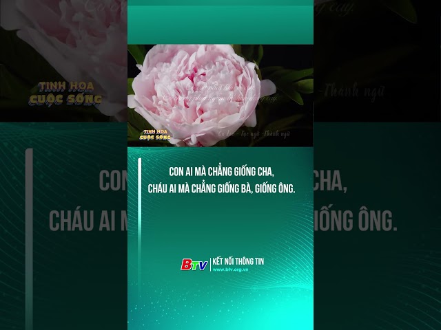 ⁣Con ai mà chẳng giống cha, cháu ai mà chẳng giống bà, giống ông