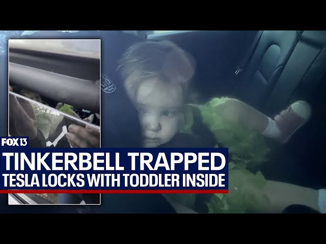 ⁣Florida toddler dressed as Tinkerbell stuck in Tesla