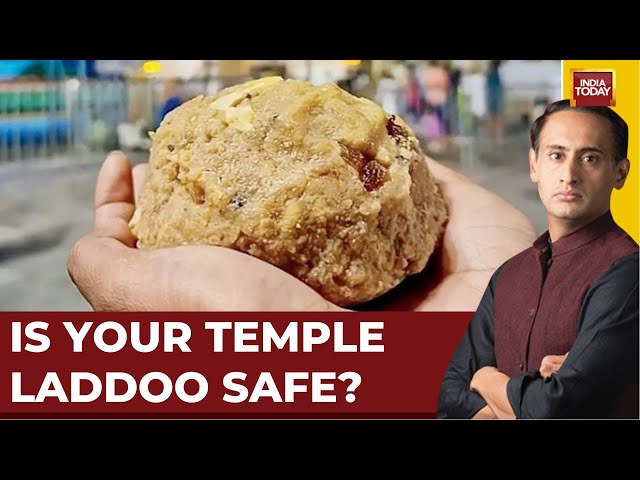 ⁣Tirupati Laddu Row: Operation Laddoo | Prasadam Purity Under Probe | Rahul Kanwal | India Today LIVE