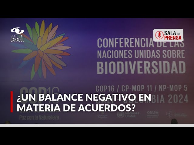 ⁣¿Qué tipo de acuerdos no se han concretado en medio de la recta final de la COP16?