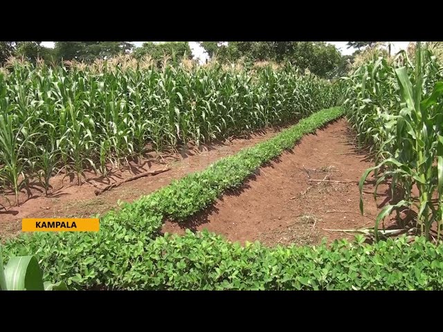 ⁣Addressing climate change - Farmers urged to adopt sustainable land management practices