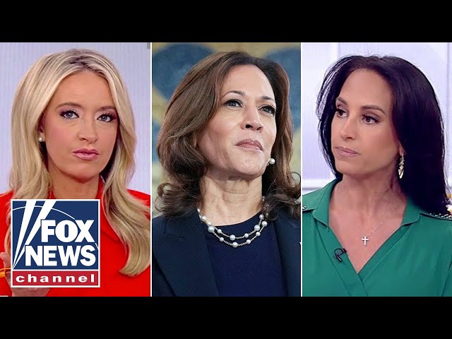 ⁣'SHALLOW': Kamala Harris ripped over latest push for unity