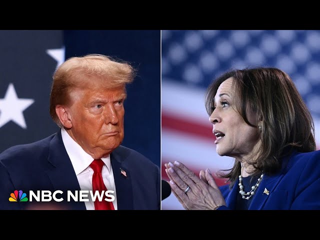 ⁣Harris and Trump make last appeals to undecided voters with just days before the election