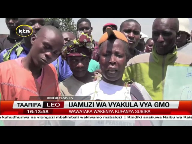 Muungano wa wakulima wadogo wadogo wahimiza wakenya kuwa na subira na uamuzi wa vyakula vya GMO